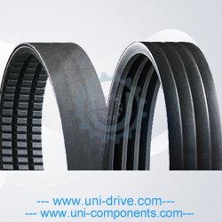 Banded-Belt-list