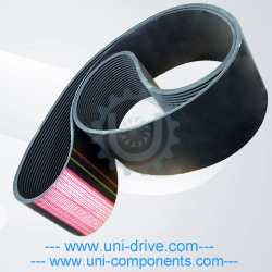 Poly-Rib-Belt