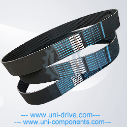 Timing-Belt