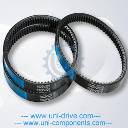 VS-belt-F
