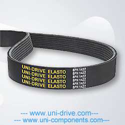 Poly-Ribbed-ELASTO Poly-Ribbed-ELASTO