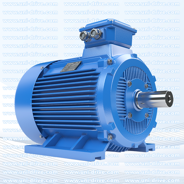 Electric Motors
